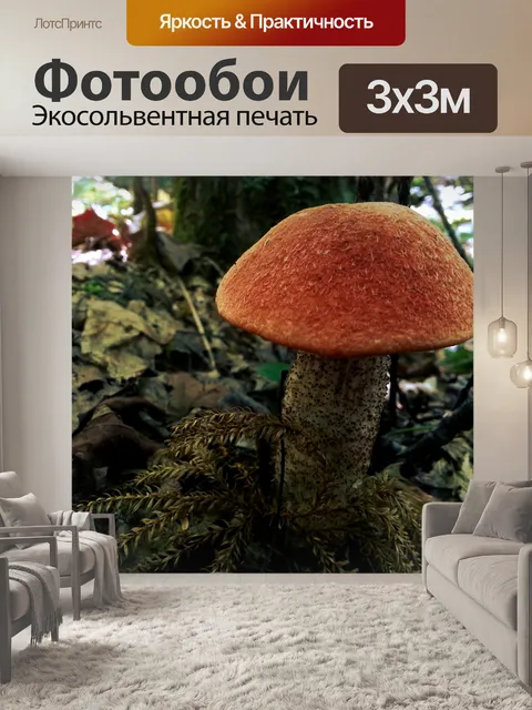 Фотообои Грибы