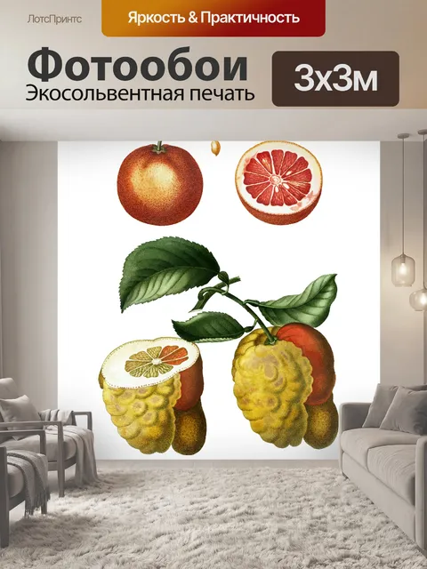 Фотообои Лимонный Апельсин Винтаж Клипарт