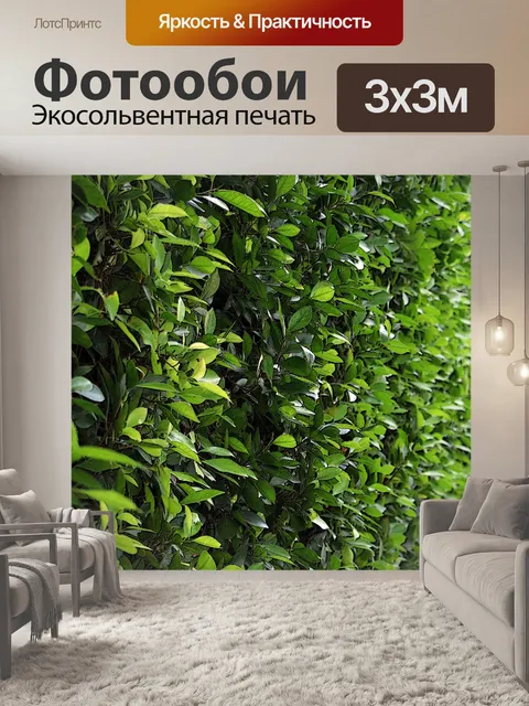 Фотообои Лист стена