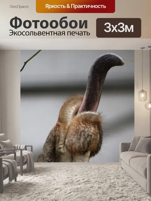 Фотообои Язык