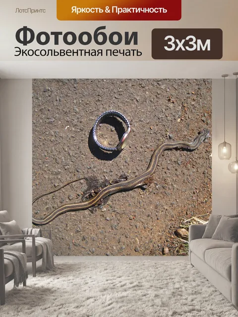 Фотообои мертвая змея с желтым и черным