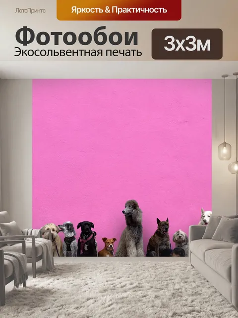 Фотообои Собаки