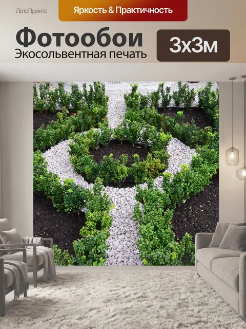 Фотообои Декоративные деревья и белого гравия