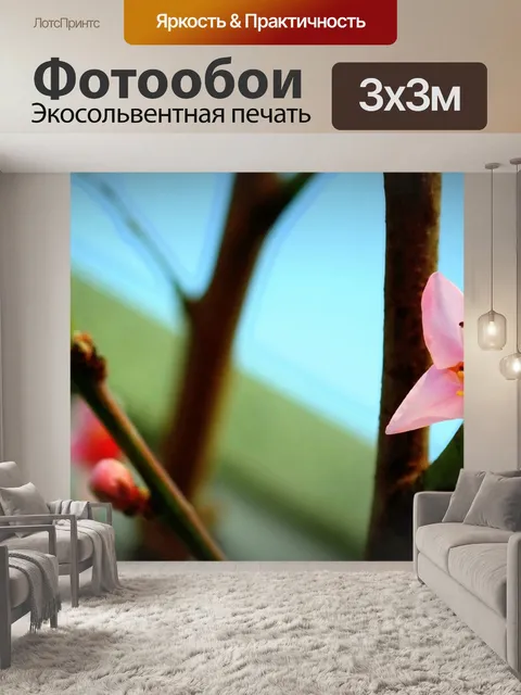 Фотообои Цвести