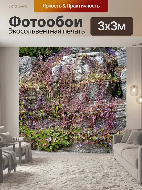 Фотообои Флора на скалах