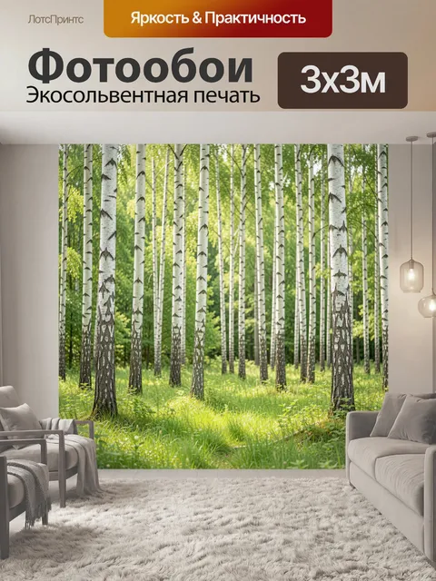 Фотообои Березовая роща летом