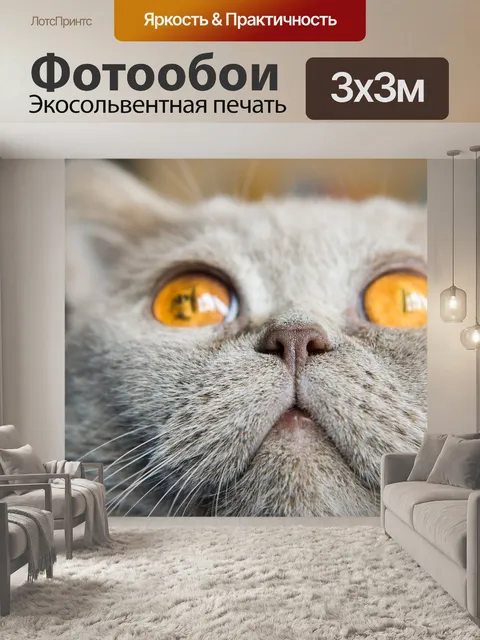 Фотообои Кошка