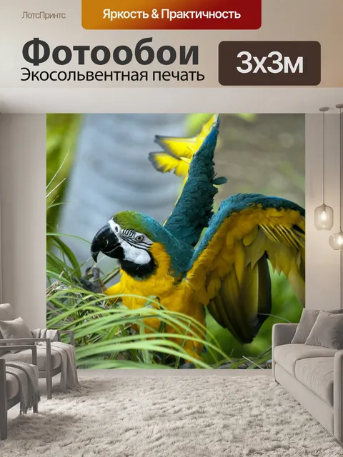 Фотообои Ара