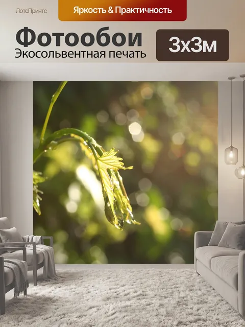 Фотообои Природа