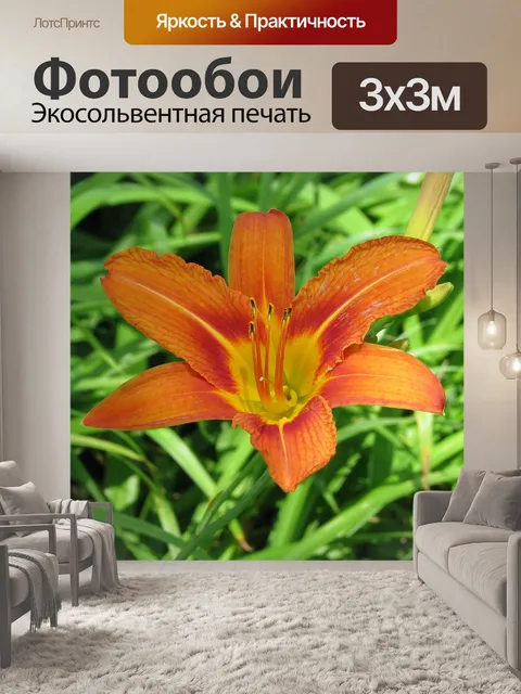 Фотообои Оранжевый лилейника