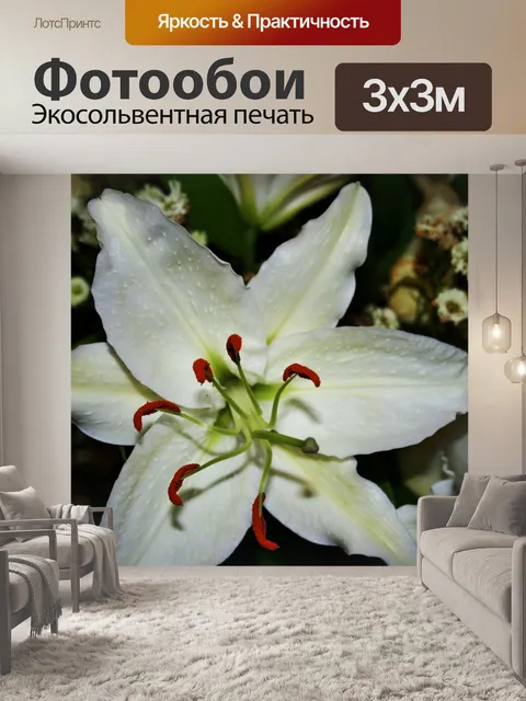 Фотообои белая лилия цветения