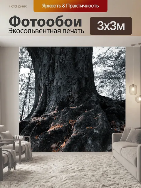Фотообои Лес