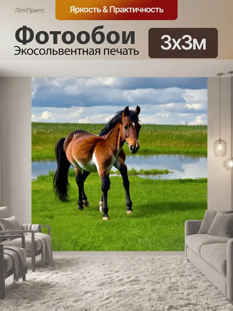 Фотообои лошадь играющая с ее детенышем на зеленом пастбище