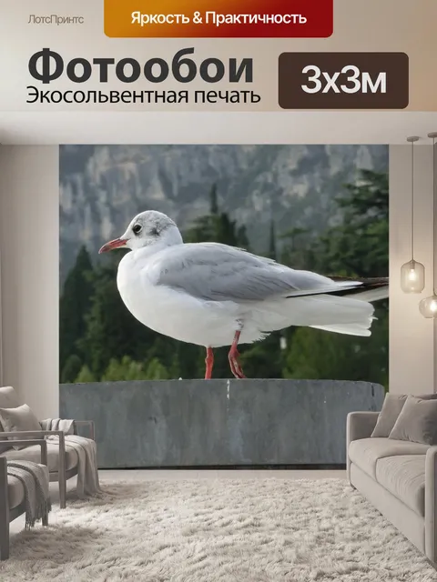 Фотообои Коломбо