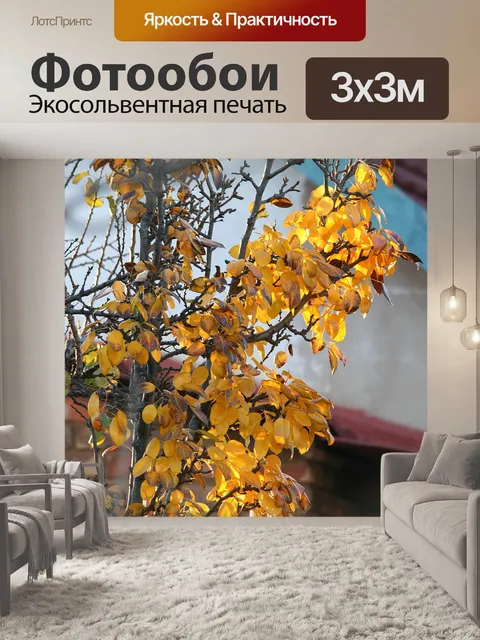 Фотообои желтые листья с света