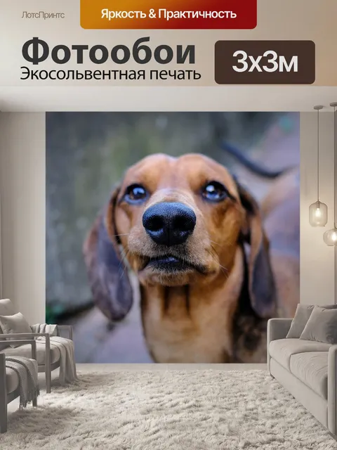 Фотообои Домашний питомец