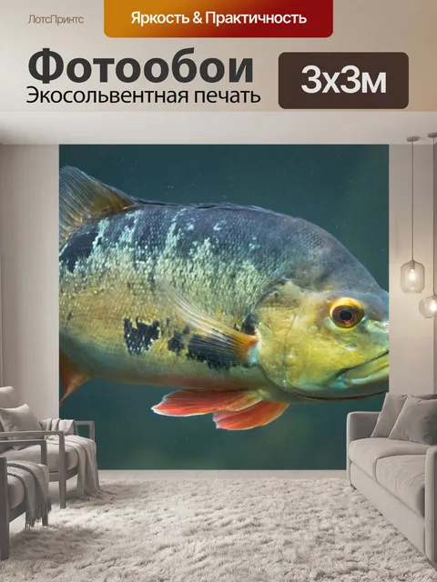 Фотообои Cichla ocellaris fish