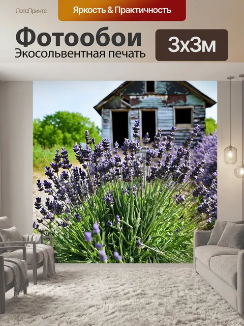 Фотообои лаванда, растущая у старого заброшенного дома