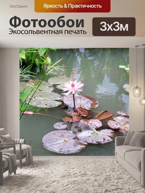 Фотообои Водяная лилия