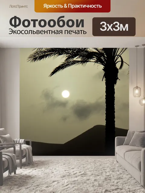 Фотообои Дерево пальмы