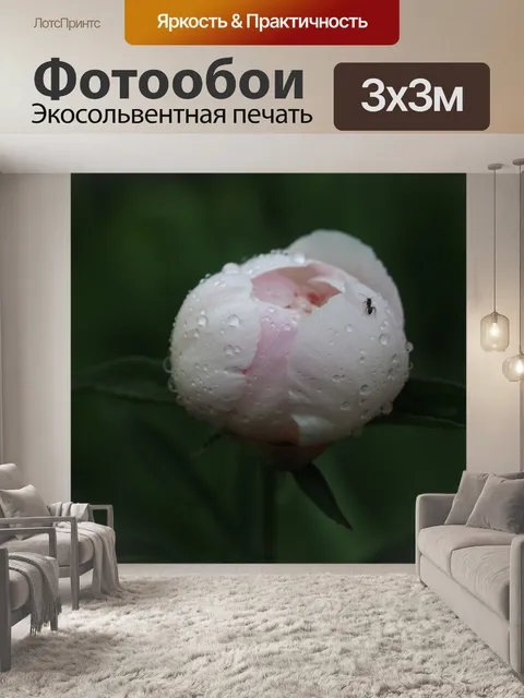 Фотообои Цветок