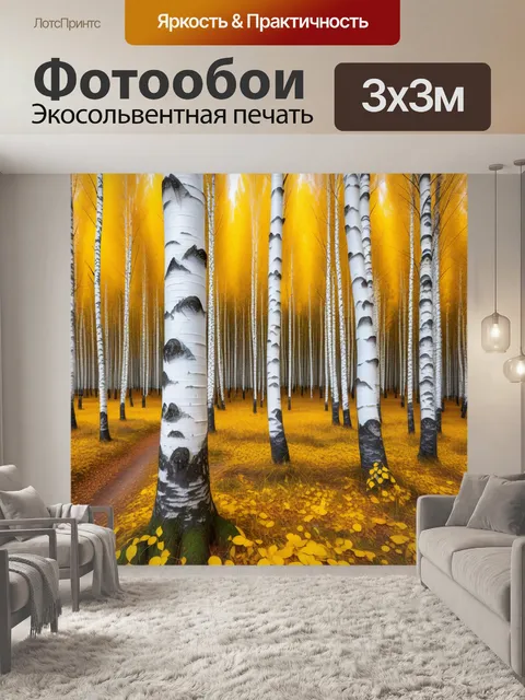 Фотообои золотая осень в березовой роще