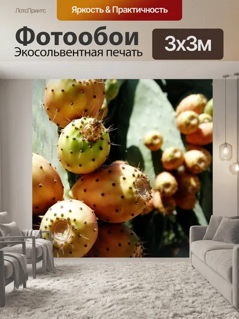 Фотообои Инжир