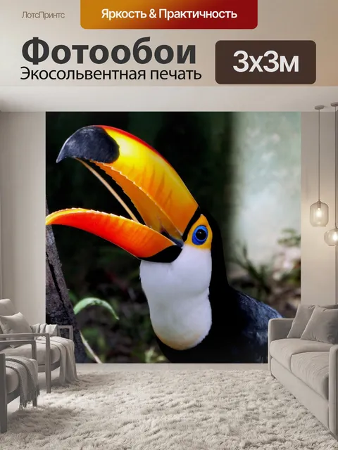 Фотообои Тукан