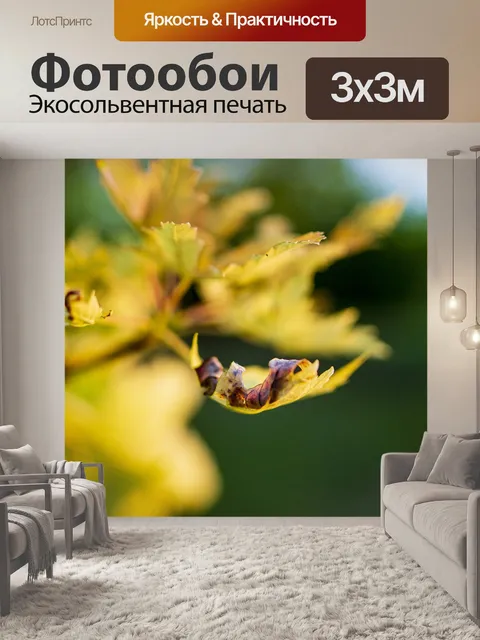 Фотообои Осень