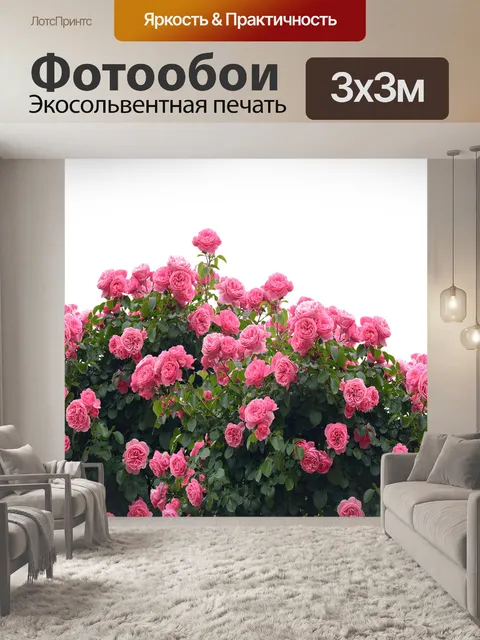 Фотообои Розы