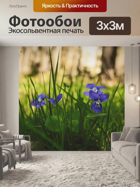 Фотообои Фиолетовый