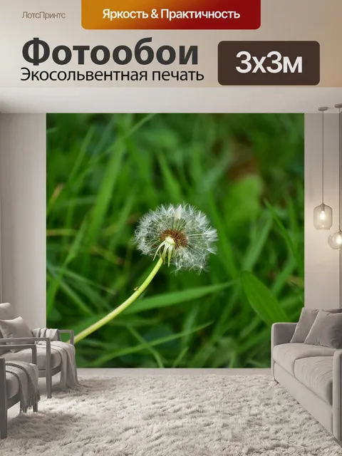 Фотообои Падение