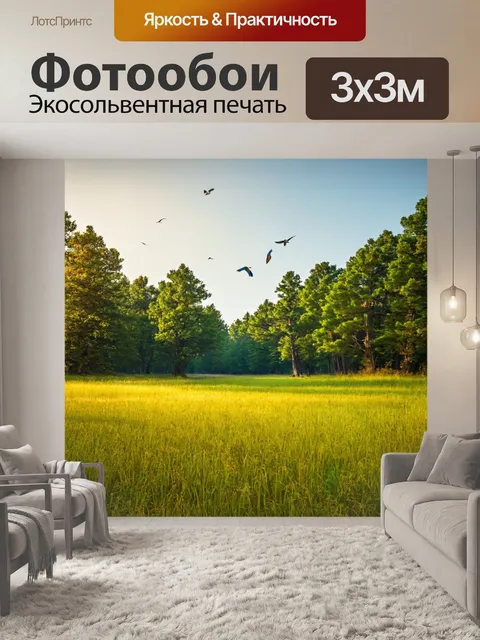 Фотообои обширный лес с открытыми лугами и редкими птицами в небе