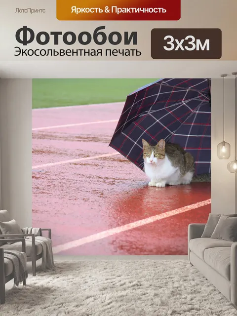 Фотообои Кошка