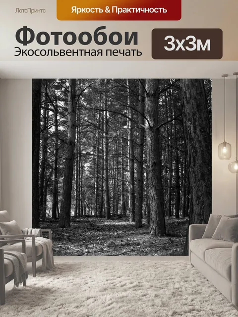 Фотообои Лес