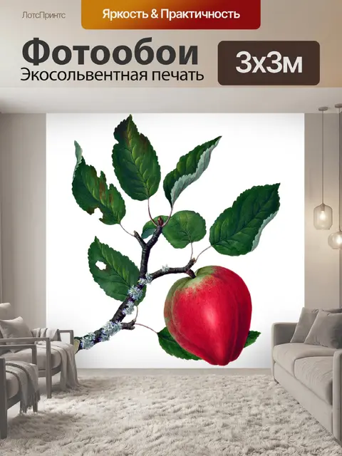 Фотообои Монах Яблоко