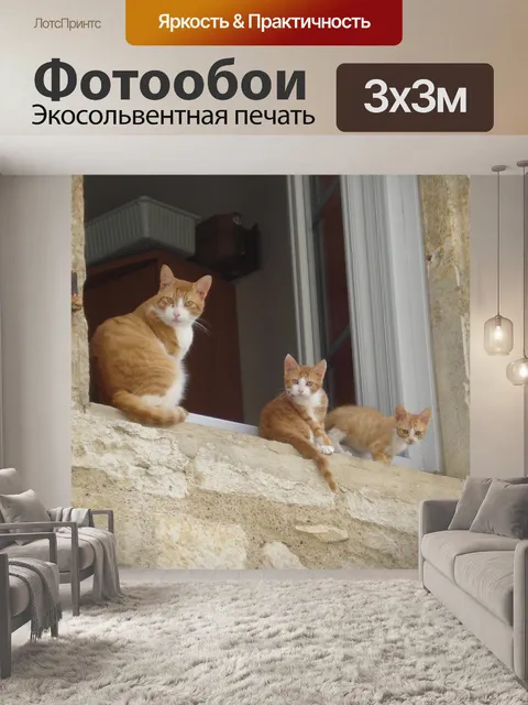 Фотообои Кошки