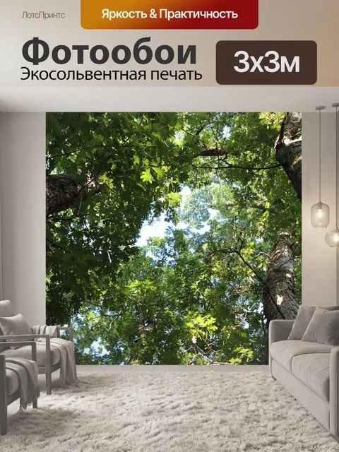 Фотообои Деревья