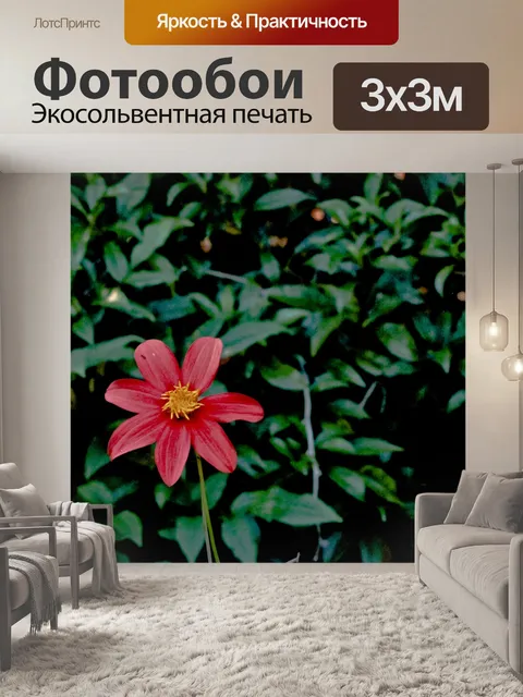 Фотообои Красный цветок с 7 лепестками