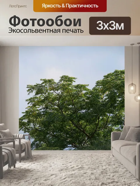 Фотообои сирень дерево в лето