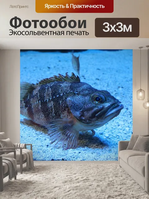 Фотообои Рыбы