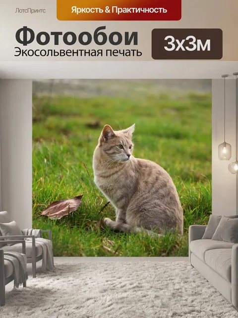 Фотообои Кот
