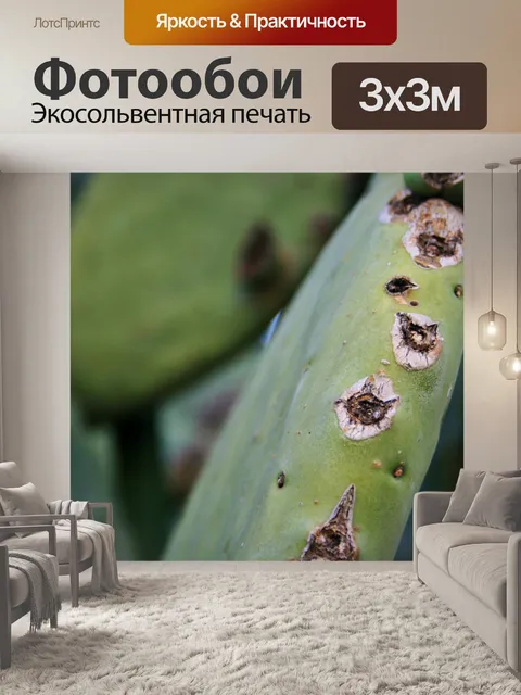 Фотообои Повреждения на опунция листа