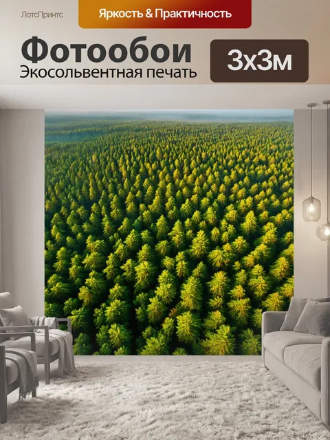 Фотообои пейзаж в стиле декоративная акварель, еловый лес из высоты птичьего полета, с утренним туманом