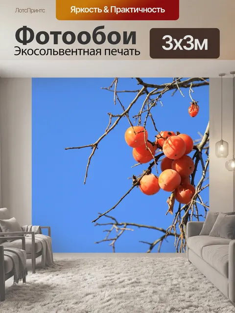Фотообои Хурма