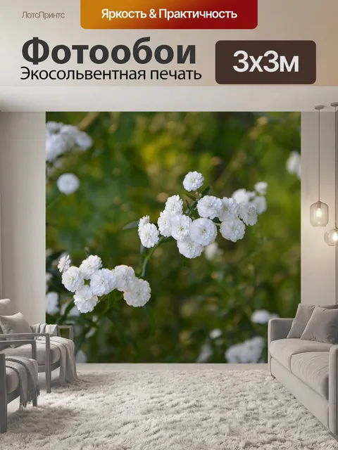 Фотообои Белые цветы