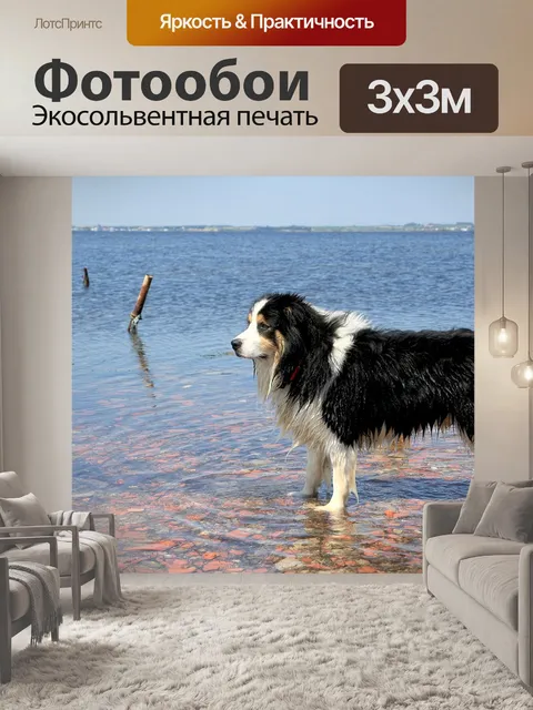 Фотообои Собака