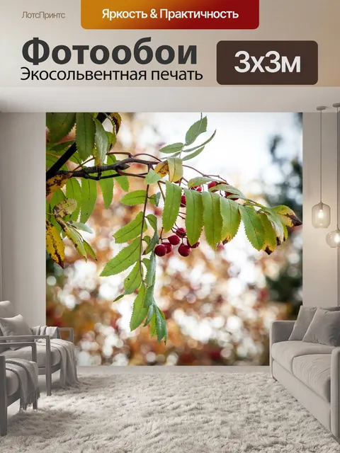 Фотообои Рябина