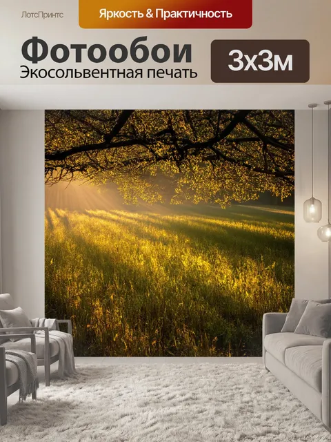 Фотообои поле, где солнце пробивается через ветви деревьев, создавая уникальные паттерны света и тени