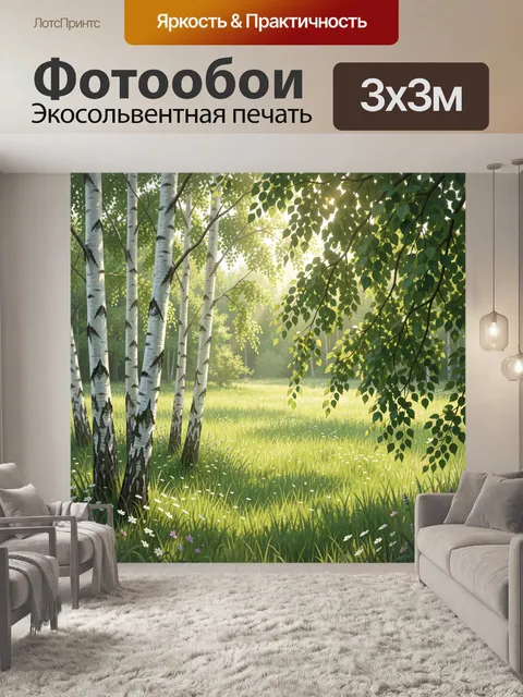 Фотообои Солнечная берёзовая роща